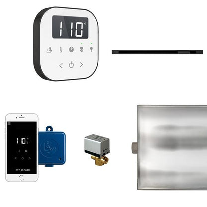Mr. Steam - Airbutler Linear Steam Shower Control Package With Airtempo Control And Linear Steamhead