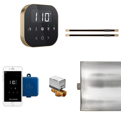 Mr. Steam - Airbutler Max Linear Steam Shower Control Package With Airtempo Control And Linear Steamhead
