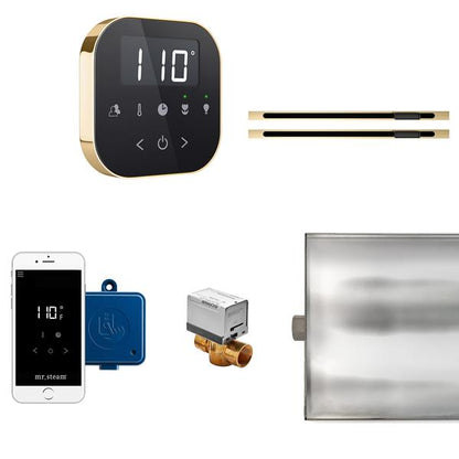 Mr. Steam - Airbutler Max Linear Steam Shower Control Package With Airtempo Control And Linear Steamhead
