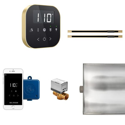 Mr. Steam - Airbutler Max Linear Steam Shower Control Package With Airtempo Control And Linear Steamhead