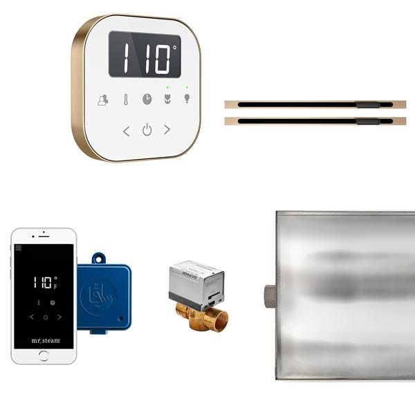 Mr. Steam - Airbutler Max Linear Steam Shower Control Package With Airtempo Control And Linear Steamhead