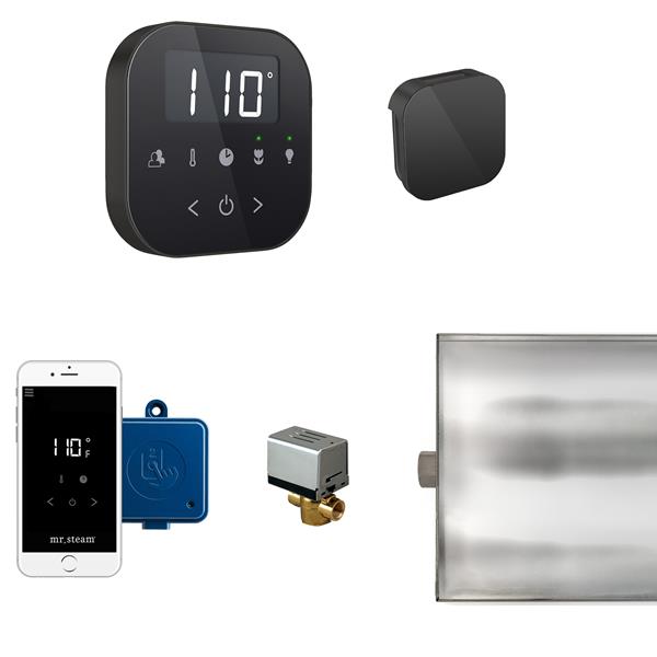 Mr. Steam - Airbutler Steam Shower Control Package With Airtempo Control And Aroma Glass Steamhead