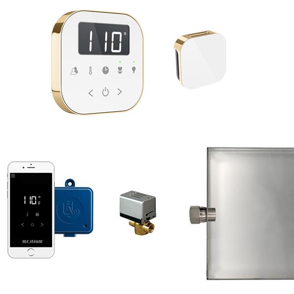 Mr. Steam - Airbutler Steam Shower Control Package With Airtempo Control And Aroma Glass Steamhead