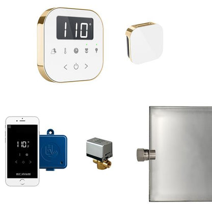 Mr. Steam - Airbutler Steam Shower Control Package With Airtempo Control And Aroma Glass Steamhead