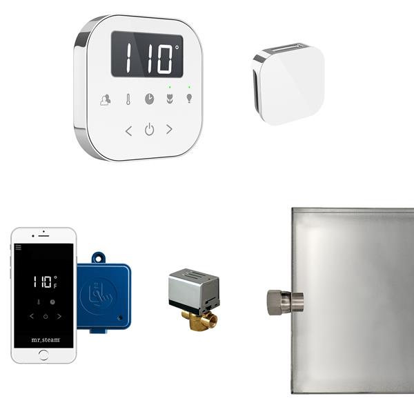 Mr. Steam - Airbutler Steam Shower Control Package With Airtempo Control And Aroma Glass Steamhead