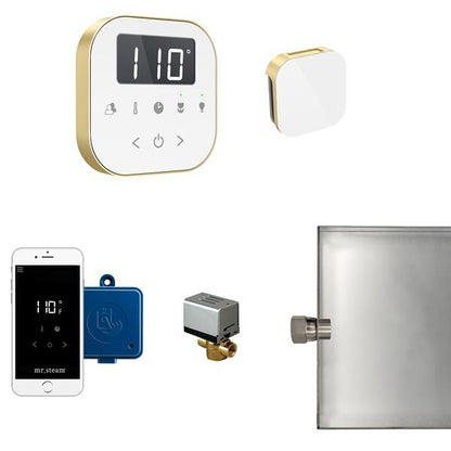 Mr. Steam - Airbutler Steam Shower Control Package With Airtempo Control And Aroma Glass Steamhead