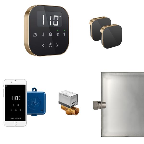 Mr. Steam - Airbutler Max Steam Shower Control Package With Airtempo Control And Aroma Glass Steamhead