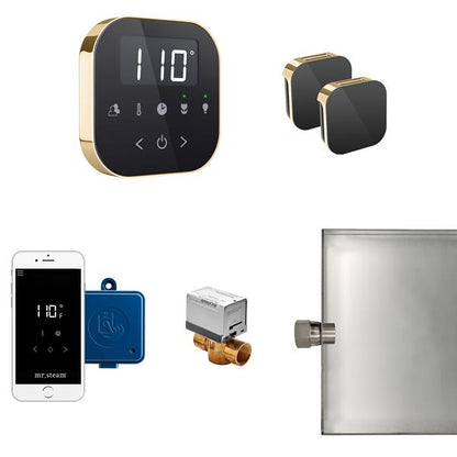 Mr. Steam - Airbutler Max Steam Shower Control Package With Airtempo Control And Aroma Glass Steamhead