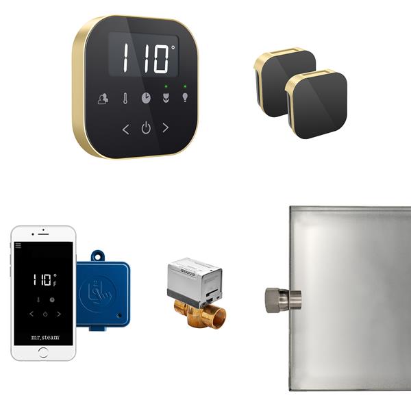 Mr. Steam - Airbutler Max Steam Shower Control Package With Airtempo Control And Aroma Glass Steamhead