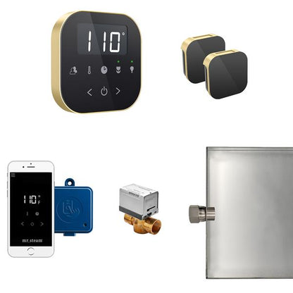 Mr. Steam - Airbutler Max Steam Shower Control Package With Airtempo Control And Aroma Glass Steamhead