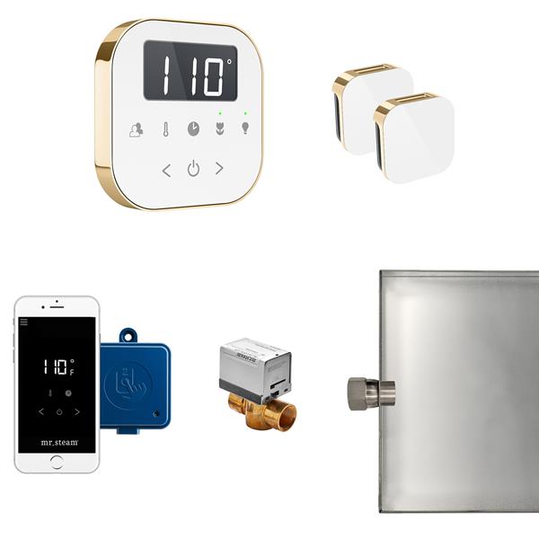 Mr. Steam - Airbutler Max Steam Shower Control Package With Airtempo Control And Aroma Glass Steamhead