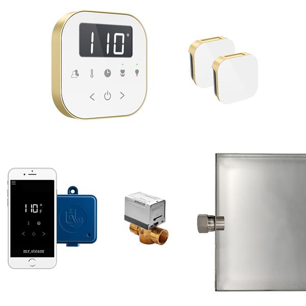 Mr. Steam - Airbutler Max Steam Shower Control Package With Airtempo Control And Aroma Glass Steamhead