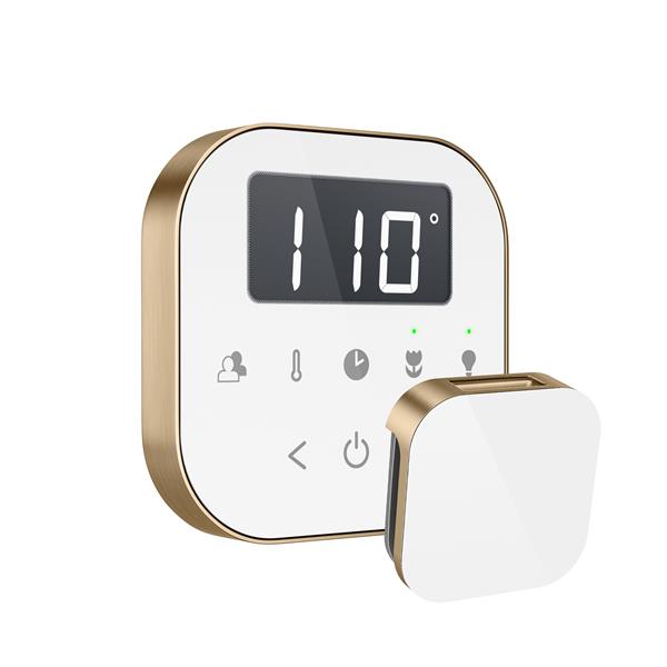 Mr. Steam - Airtempo Steam Shower Control And Aroma Glass Steamhead
