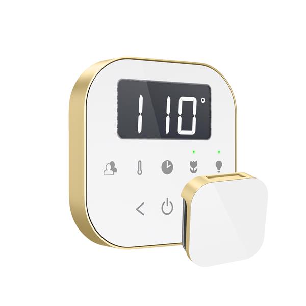 Mr. Steam - Airtempo Steam Shower Control And Aroma Glass Steamhead