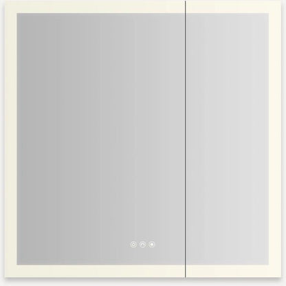 Robern - AiO Reserve 30X30 Inch Lighted Frameless Double Door Medicine Cabinet