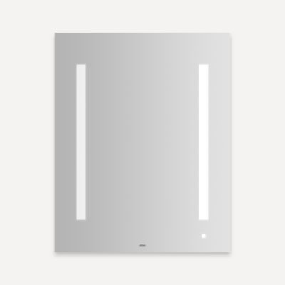 Robern - Wall Mirror, 24X30, Aio, Audio