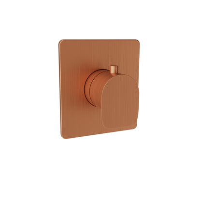 Baril - Petite B04 Trim only for 3/4 Inch thermostatic valve