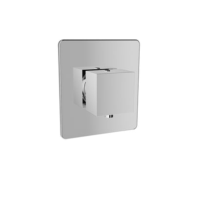 Baril - Rec B05 Trim only for 3/4 Inch thermostatic valve