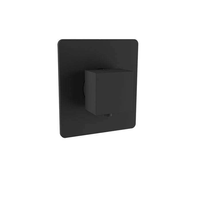 Baril - Rec B05 Trim only for 3/4 Inch thermostatic valve