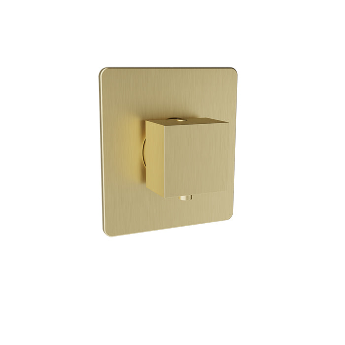 Baril - Rec B05 Trim only for 3/4 Inch thermostatic valve