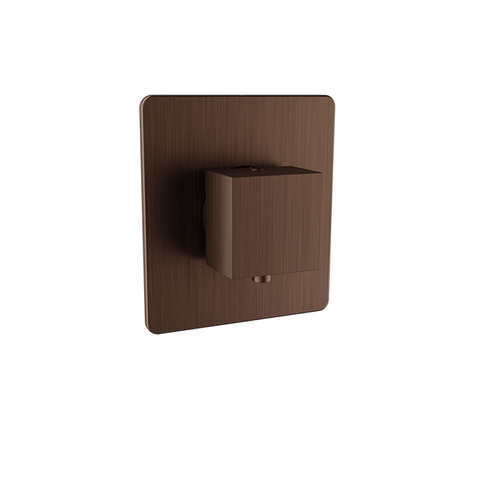 Baril - Rec B05 Trim only for 3/4 Inch thermostatic valve