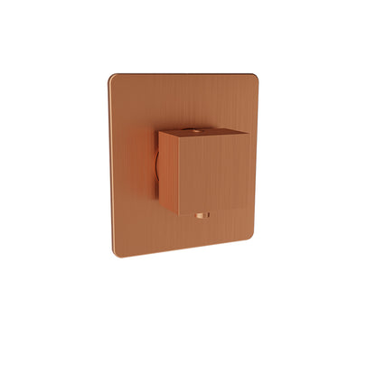 Baril - Rec B05 Trim only for 3/4 Inch thermostatic valve