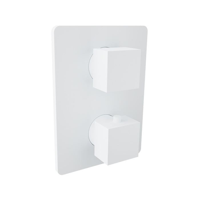 Baril - Rec B05 Trim only for thermostatic pressure balanced shower control valve with 2-way diverter