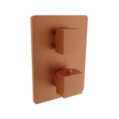 Baril - Rec B05 Trim only for thermostatic pressure balanced shower control valve with 2-way diverter
