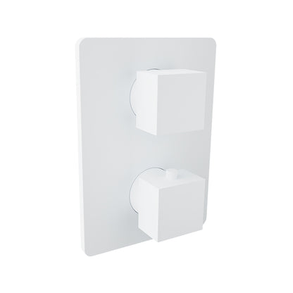 Baril - Rec B05 Complete thermostatic pressure balanced shower control valve with 3-way diverter