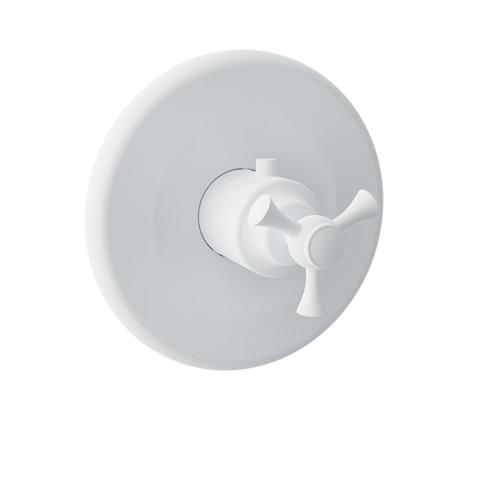 Baril - Eva B71 Trim only for 3/4 Inch thermostatic valve