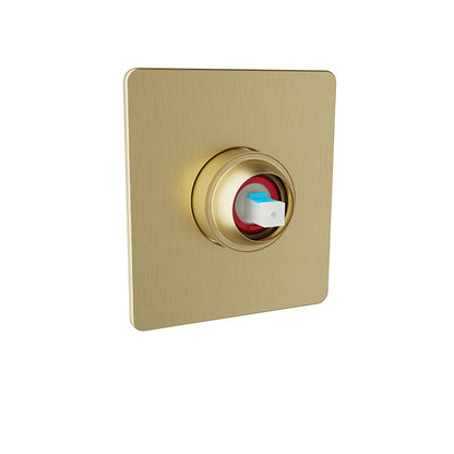 Baril - Air B80 Trim only for pressure balanced shower control valve (without handle)