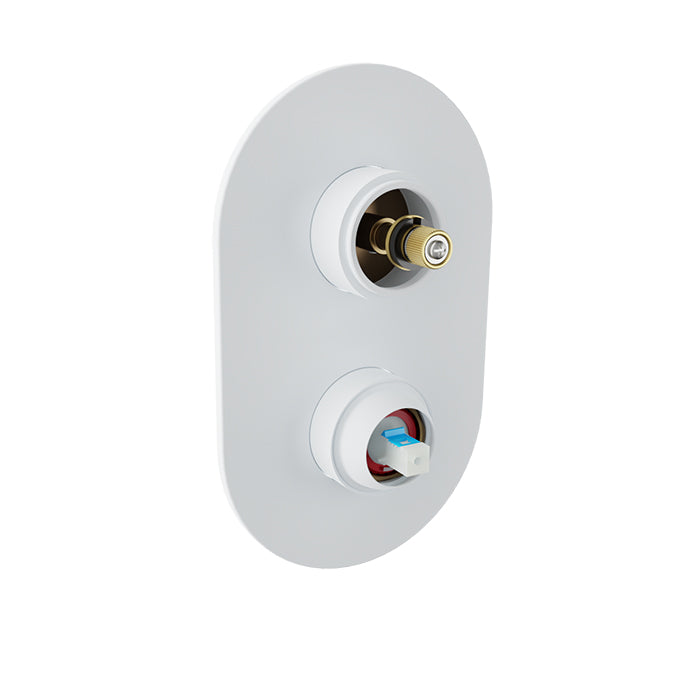Baril - Air B80 Trim only for pressure balanced shower control valve with 2-way diverter (without handle)