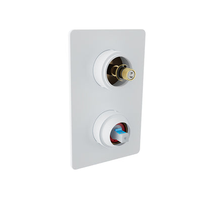 Baril - Air B80 Pressure balanced shower control valve with 3-way diverter without handle