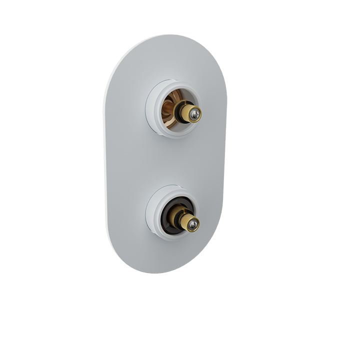 Baril - Air B80 Thermostatic pressure balanced shower valve with 2-way diverter without handle