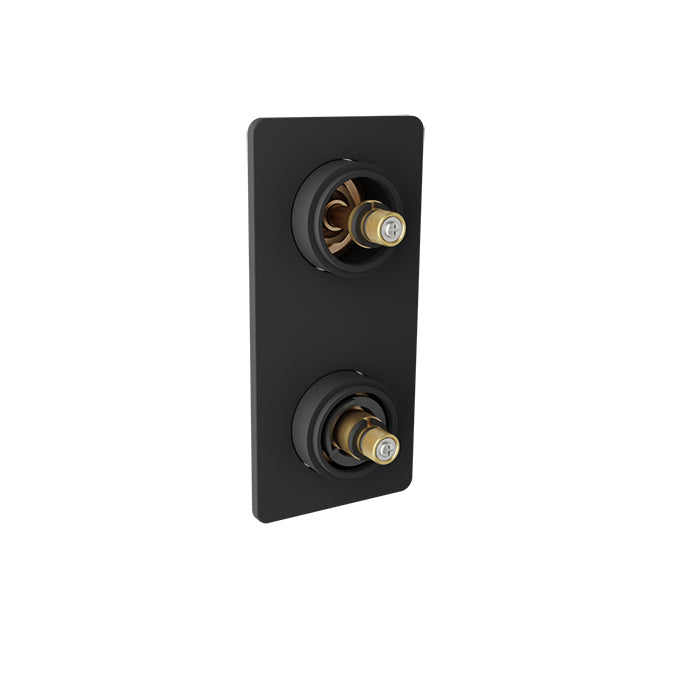 Baril - Air B80 Thermostatic pressure balanced shower valve with 2-way diverter without handle