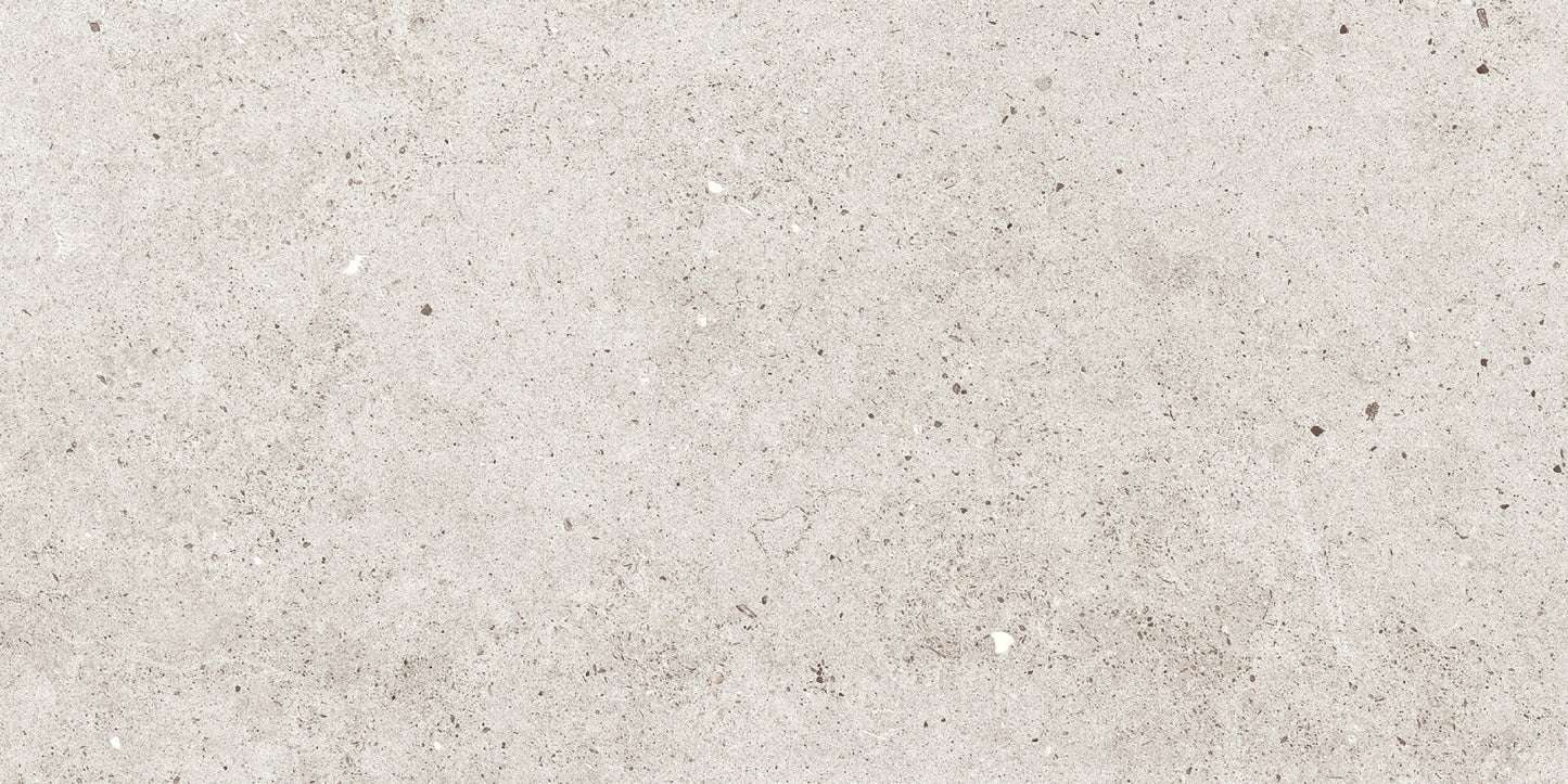 Roca Tile - Stone Basel 12 x 24 Inch Tile