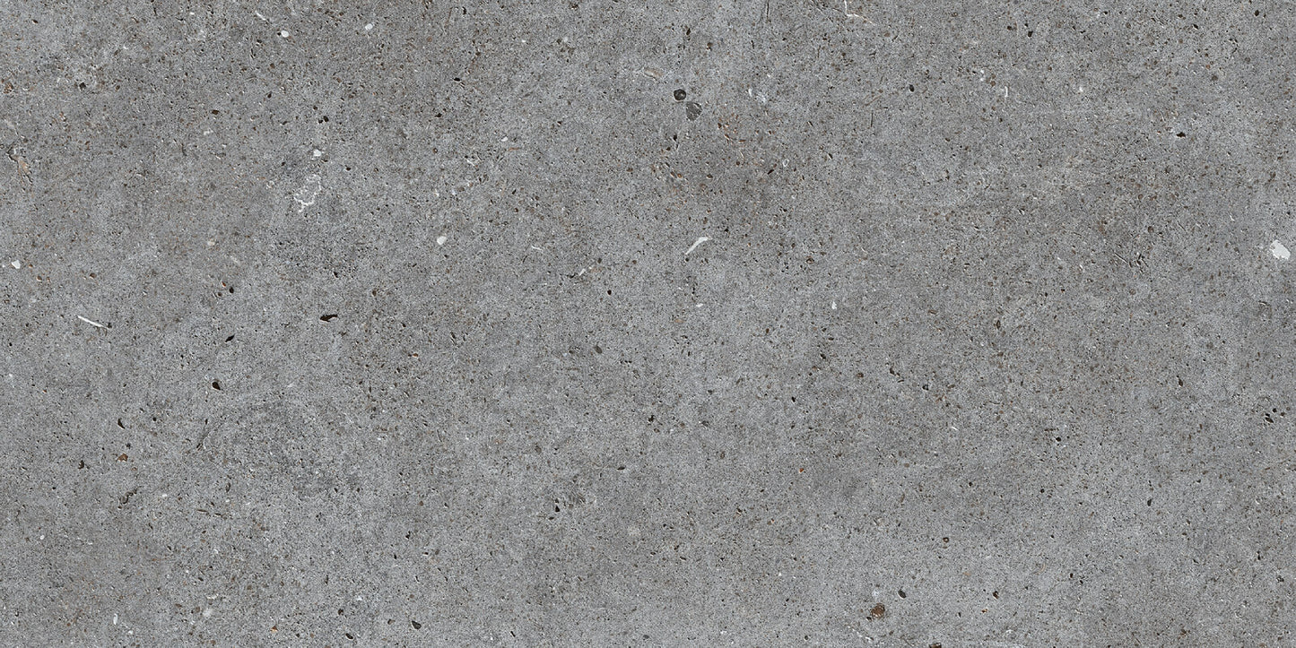 Roca Tile - Stone Basel 12 x 24 Inch Tile