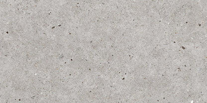 Roca Tile - Stone Basel 12 x 24 Inch Tile
