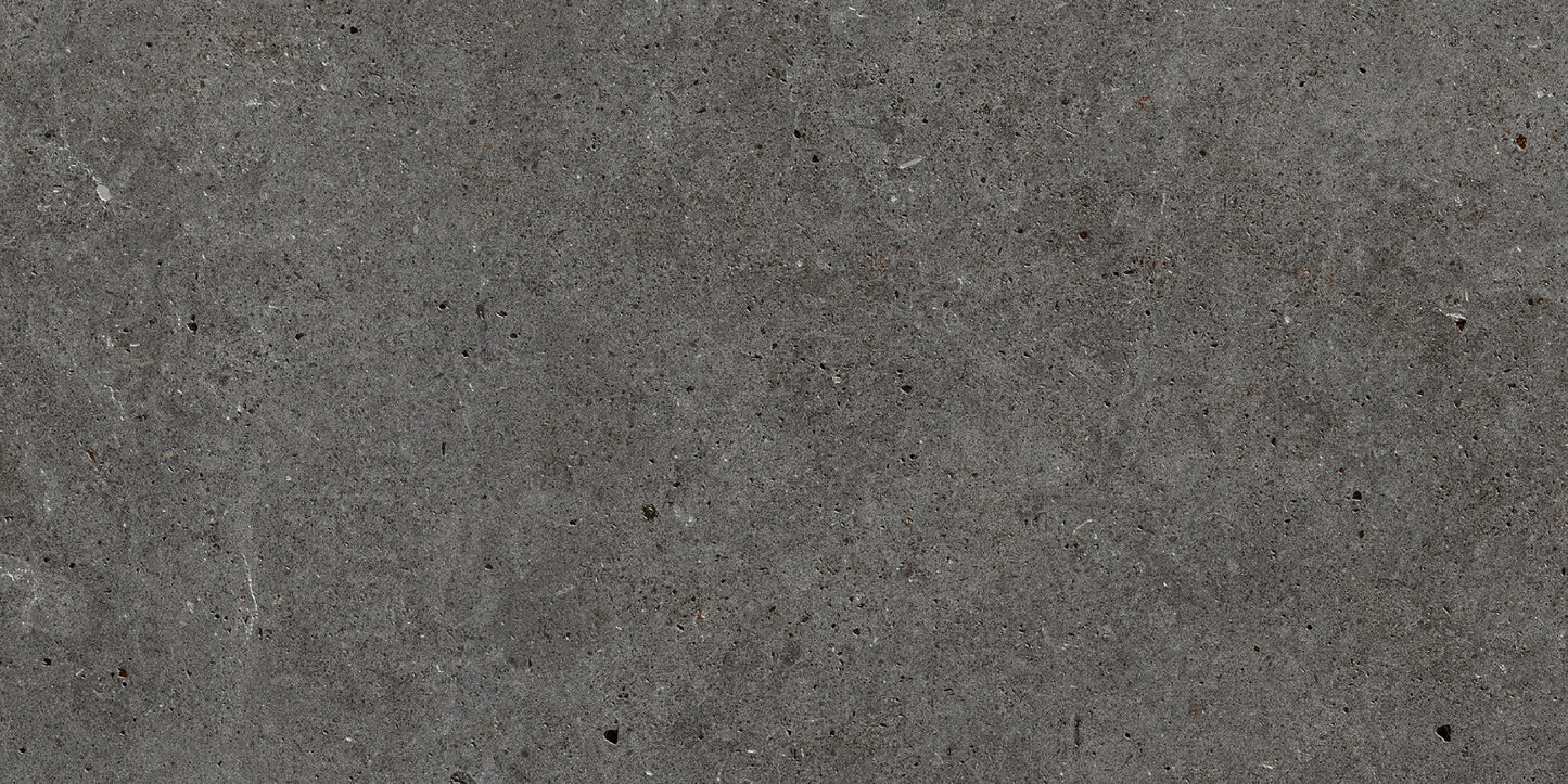 Roca Tile - Stone Basel 12 x 24 Inch Tile
