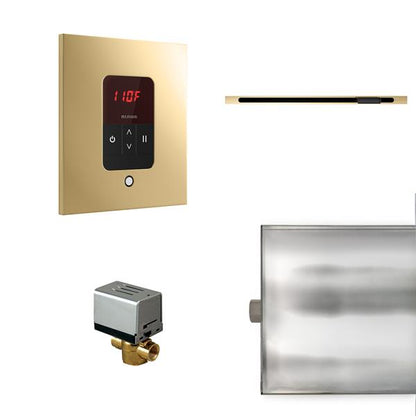 Mr. Steam - Basic Butler Linear Steam Shower Control Package With Itempo Control And Linear Steamhead Square