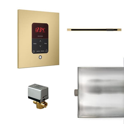 Mr. Steam - Basic Butler Linear Steam Shower Control Package With Itempo Control And Linear Steamhead Square