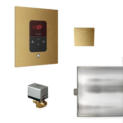 Mr. Steam - Basic Butler Steam Shower Control Package With Itempo Control And Aroma Designer Steamhead Square