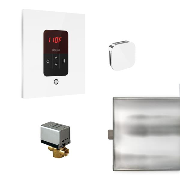 Mr. Steam - Basic Butler Steam Shower Control Package With Itempo Control And Aroma Designer Steamhead Square