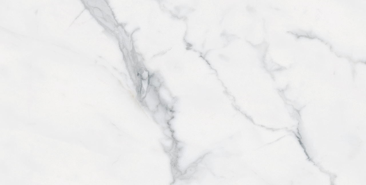Roca Tile - Bianco Venatino Po 12 x 24 R