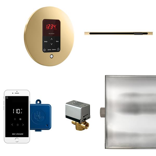 Mr. Steam - Butler Linear Steam Shower Control Package With Itempoplus Control And Linear Steamhead Round
