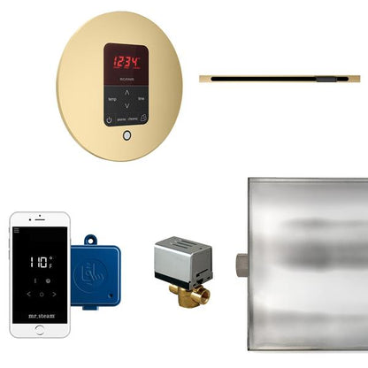 Mr. Steam - Butler Linear Steam Shower Control Package With Itempoplus Control And Linear Steamhead Round