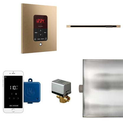 Mr. Steam - Butler Linear Steam Shower Control Package With Itempoplus Control And Linear Steamhead Square