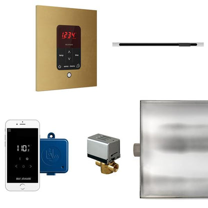 Mr. Steam - Butler Linear Steam Shower Control Package With Itempoplus Control And Linear Steamhead Square