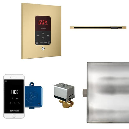 Mr. Steam - Butler Linear Steam Shower Control Package With Itempoplus Control And Linear Steamhead Square