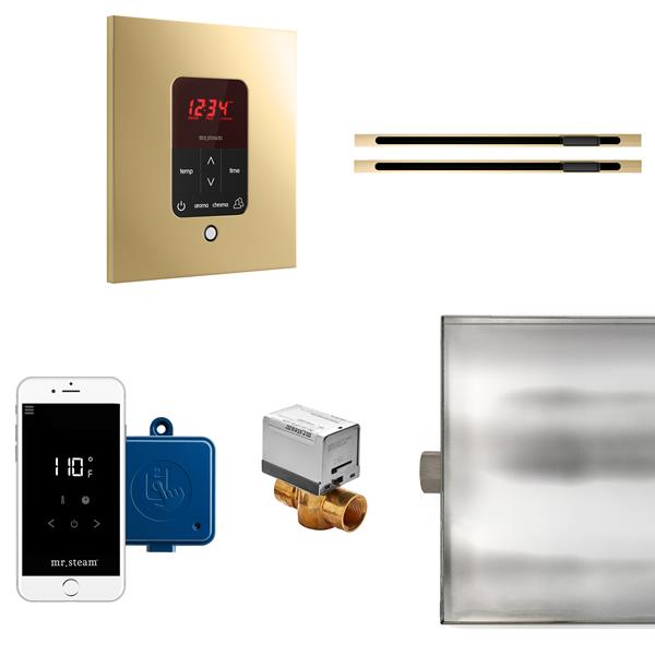 Mr. Steam - Butler Max Linear Steam Shower Control Package With Itempoplus Control And Linear Steamhead Square